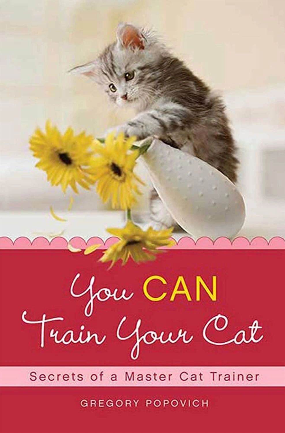 Book cover: You CAN Train Your Cat — Secrets of a Master Cat Trainer