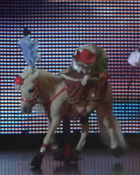 Diamond, the mini horse, on stage with a canine cast member in the saddle
