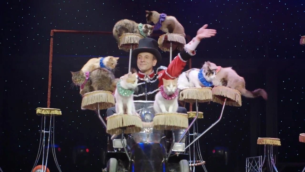 Live vaudeville stage energy — the cast on stage in Las Vegas