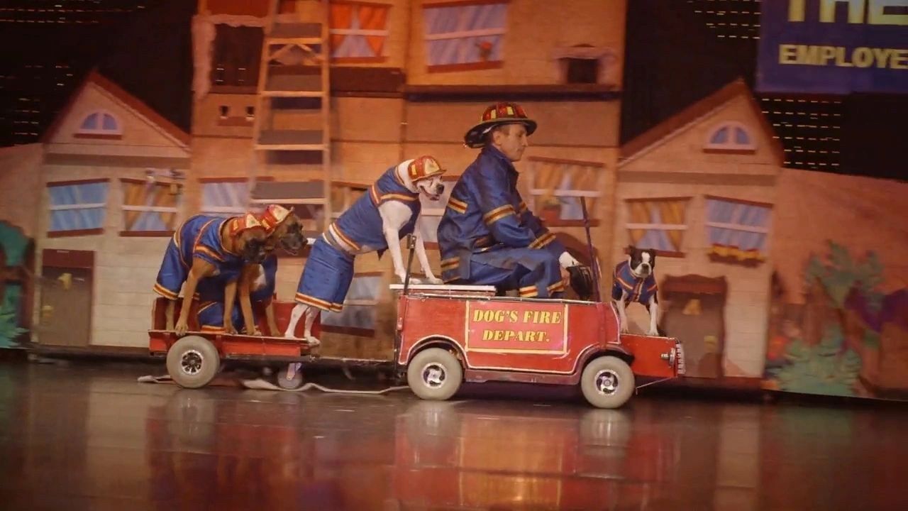 Best moments of the show — the canine fire brigade on stage