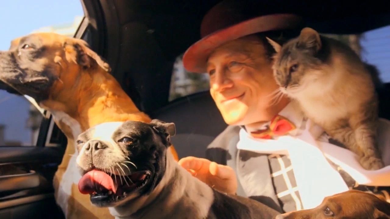 A tender moment — Gregory Popovich with a cat on his shoulder and dogs by his side